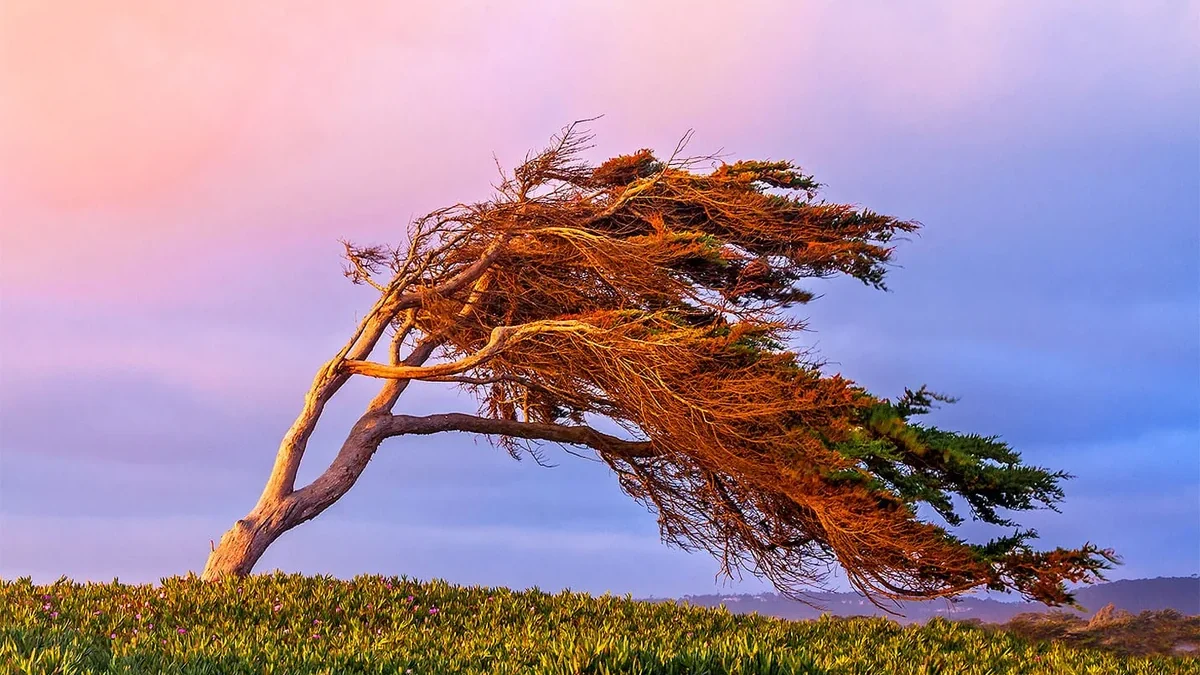 Advertencia amarilla y naranja por condiciones de viento