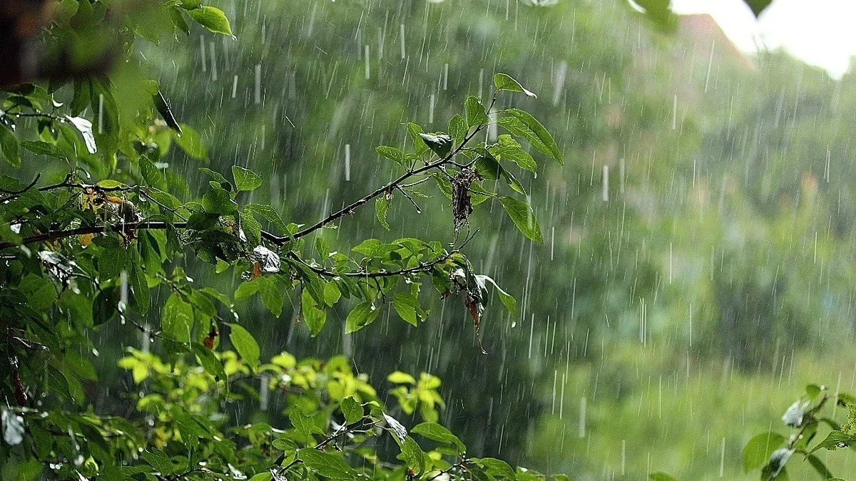 La temperatura mensual media del aire en octubre será ligeramente superior a la norma