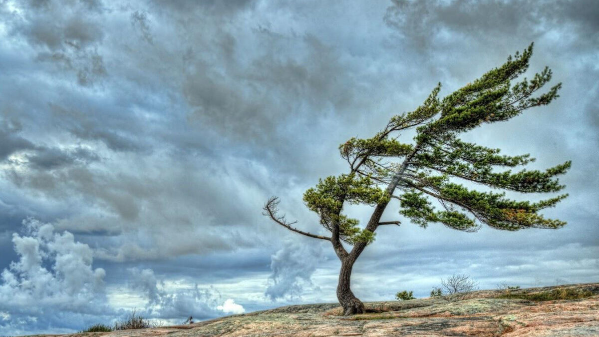El viento se fortalecerá – ADVERTENCIA