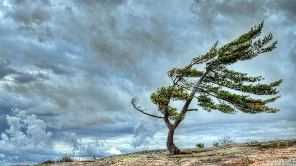 Viento fuerte en Bakú – ADVERTENCIA