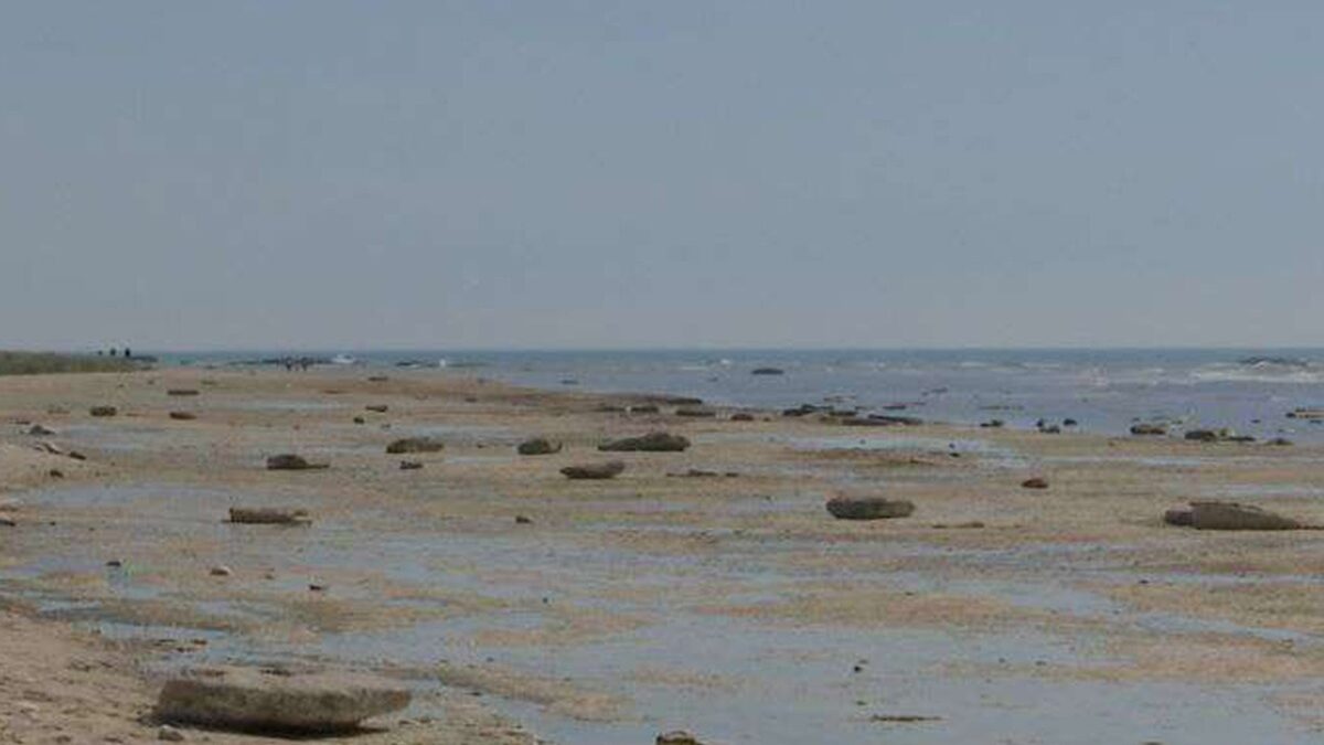 Alarma por el Caspio: La drástica reducción del agua del mar no es solo un problema ecológico, sino también económico y estratégico – ANÁLISIS