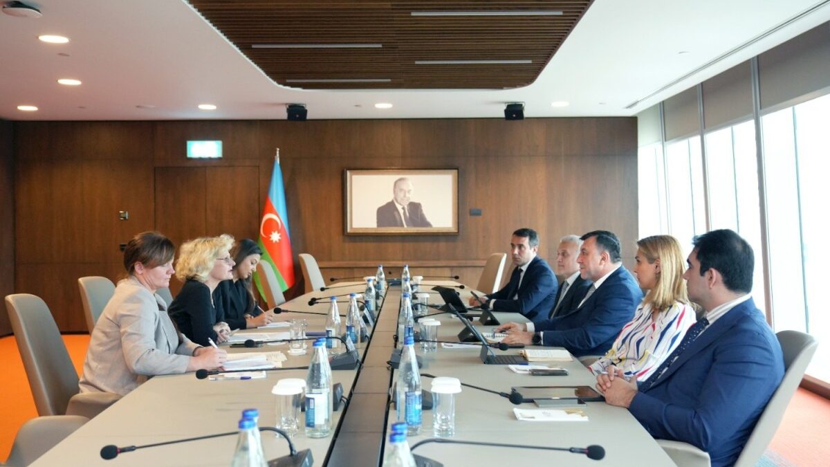Discuten el desarrollo de la cooperación económica Azerbaiyán-Alemania