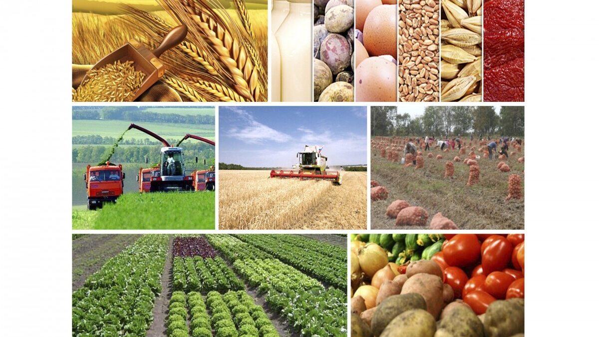 En 9 meses se han producido 12 mil millones de manat en productos agrícolas en Azerbaiyán
