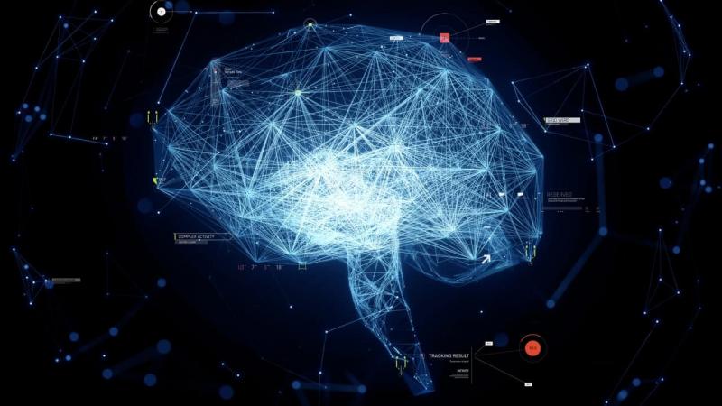 El cerebro que envejece no se debilita; se adapta