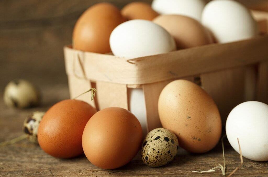 Malas noticias para quienes compran huevos de granja